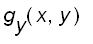 g[y](x,y)